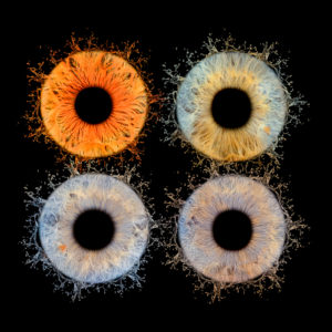 Photographie d’Iris : Immortalisez en famille la singularité de vos regards