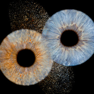 Idée de cadeau de mariage: un shooting iris
