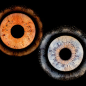 Photographie d’Iris : Immortalisez la beauté unique de votre regard