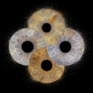 Iris en famille : une explosion de liens et de lumière