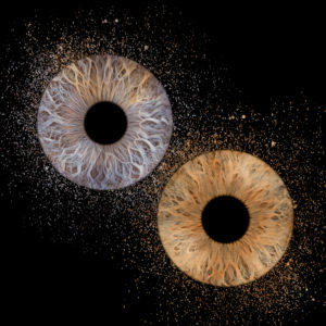 Cadeau de noël en couple: photos d’iris au Touquet