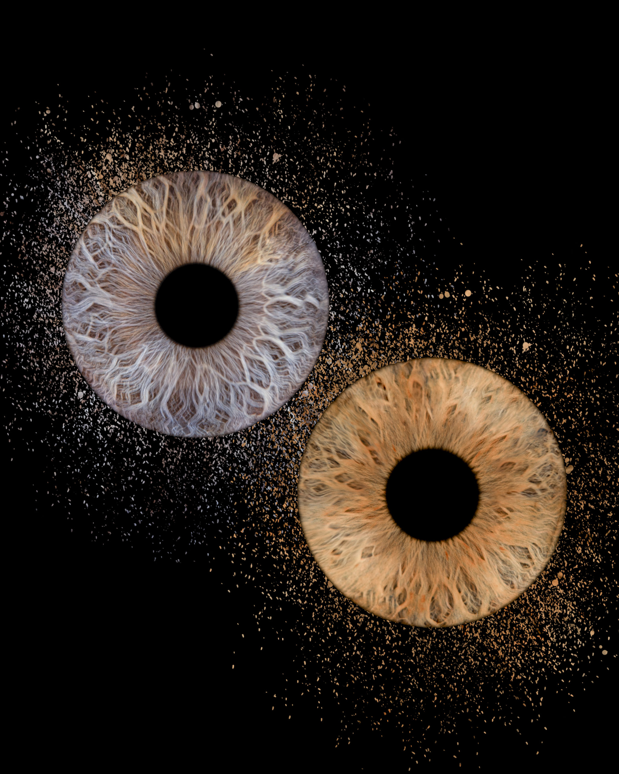 Cadeau de noël en couple: photos d'iris au Touquet