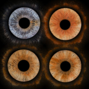 Idée cadeau de Noël au Touquet: photos d’iris