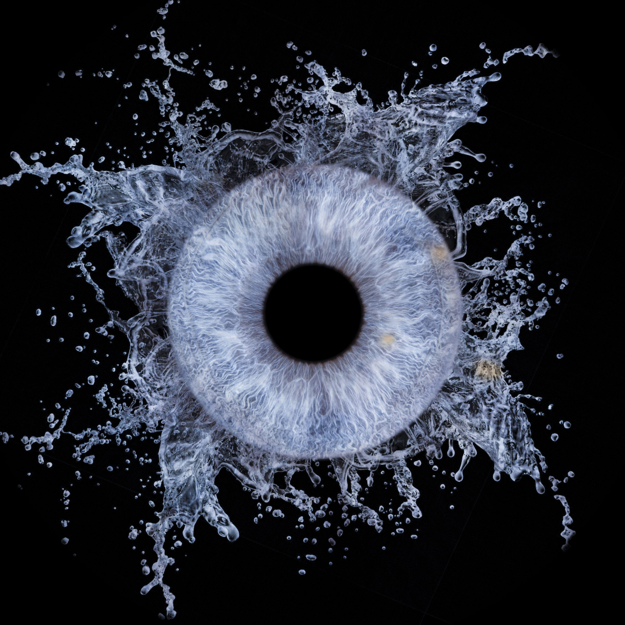 Cadeau de Noël original: photos d'iris au Touquet