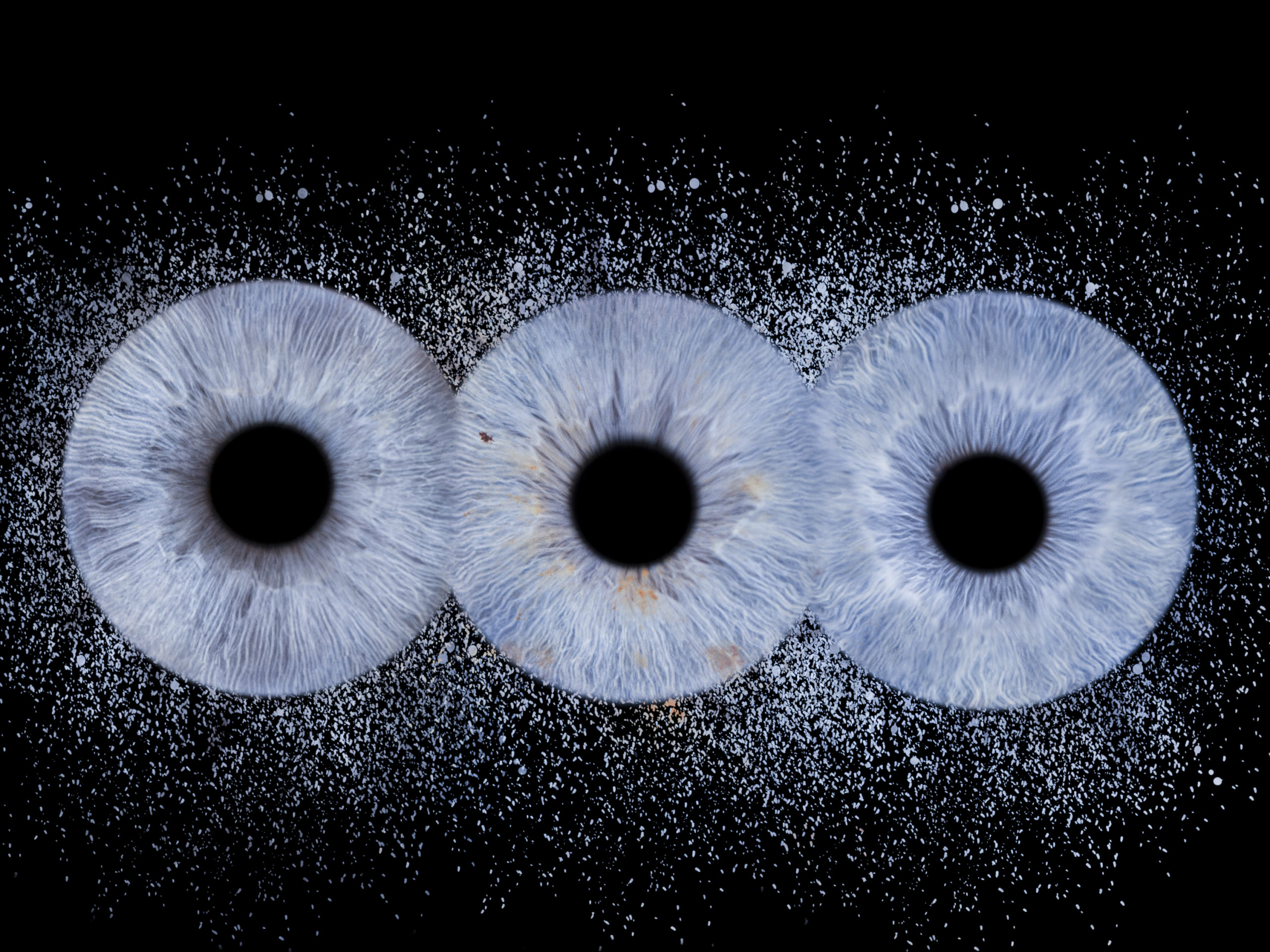 Photographe d'iris à 3 au Touquet