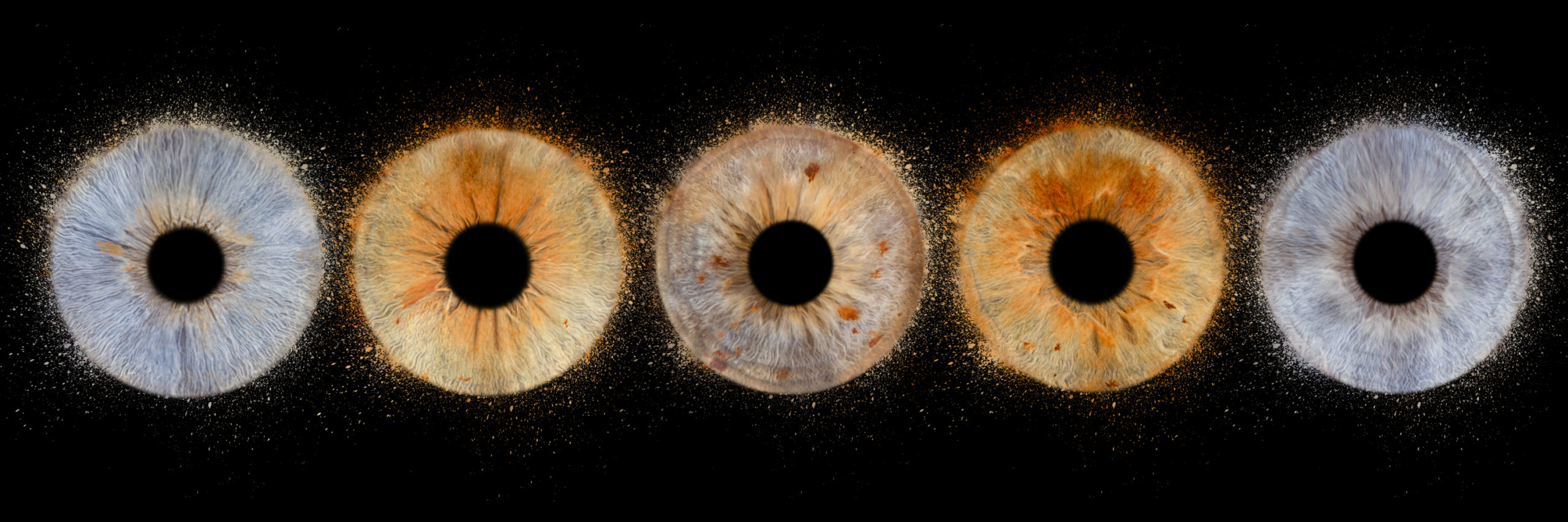 Photographe iris en famille au Touquet