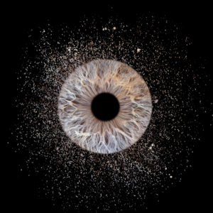 Photographe iris au Touquet