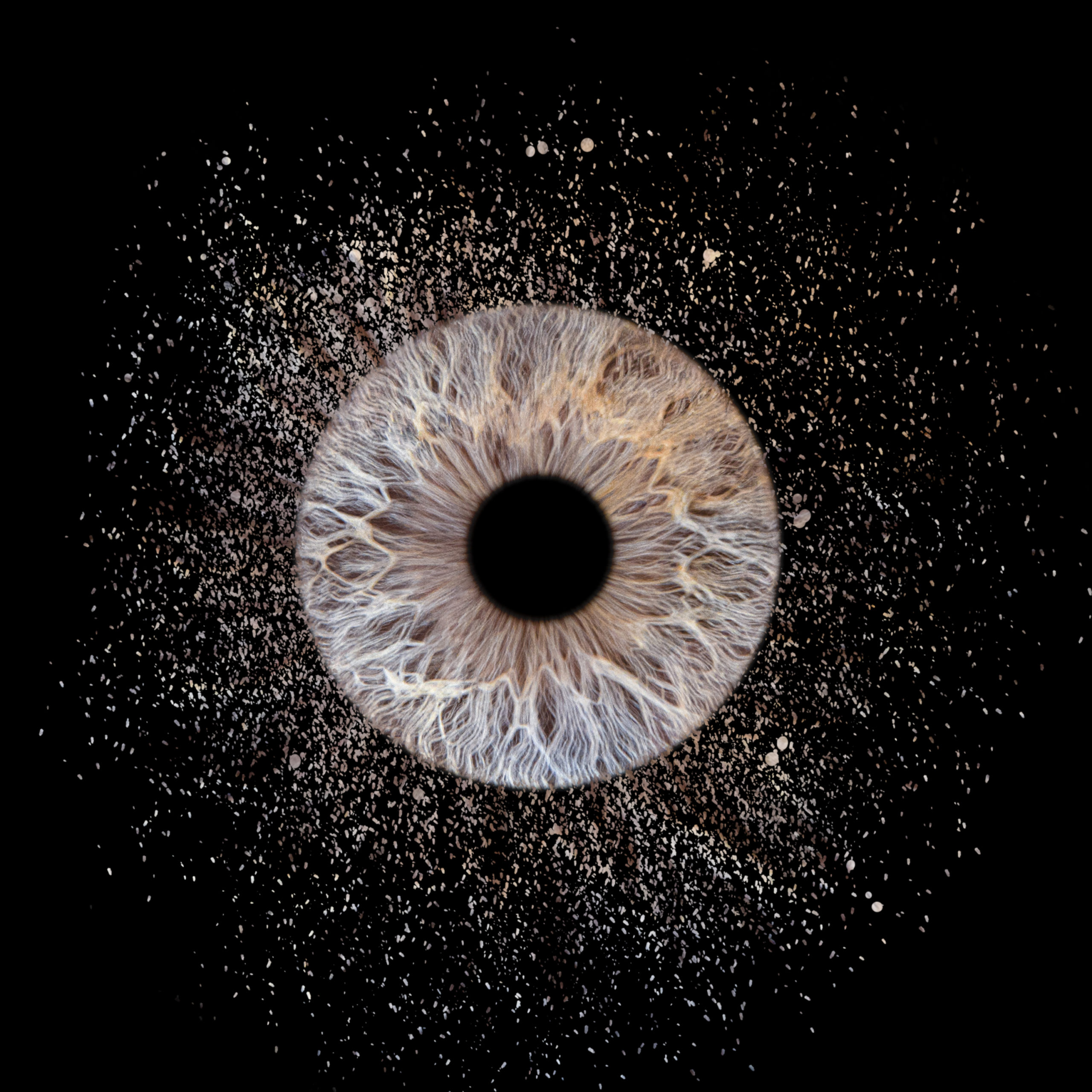 Photographe iris au Touquet