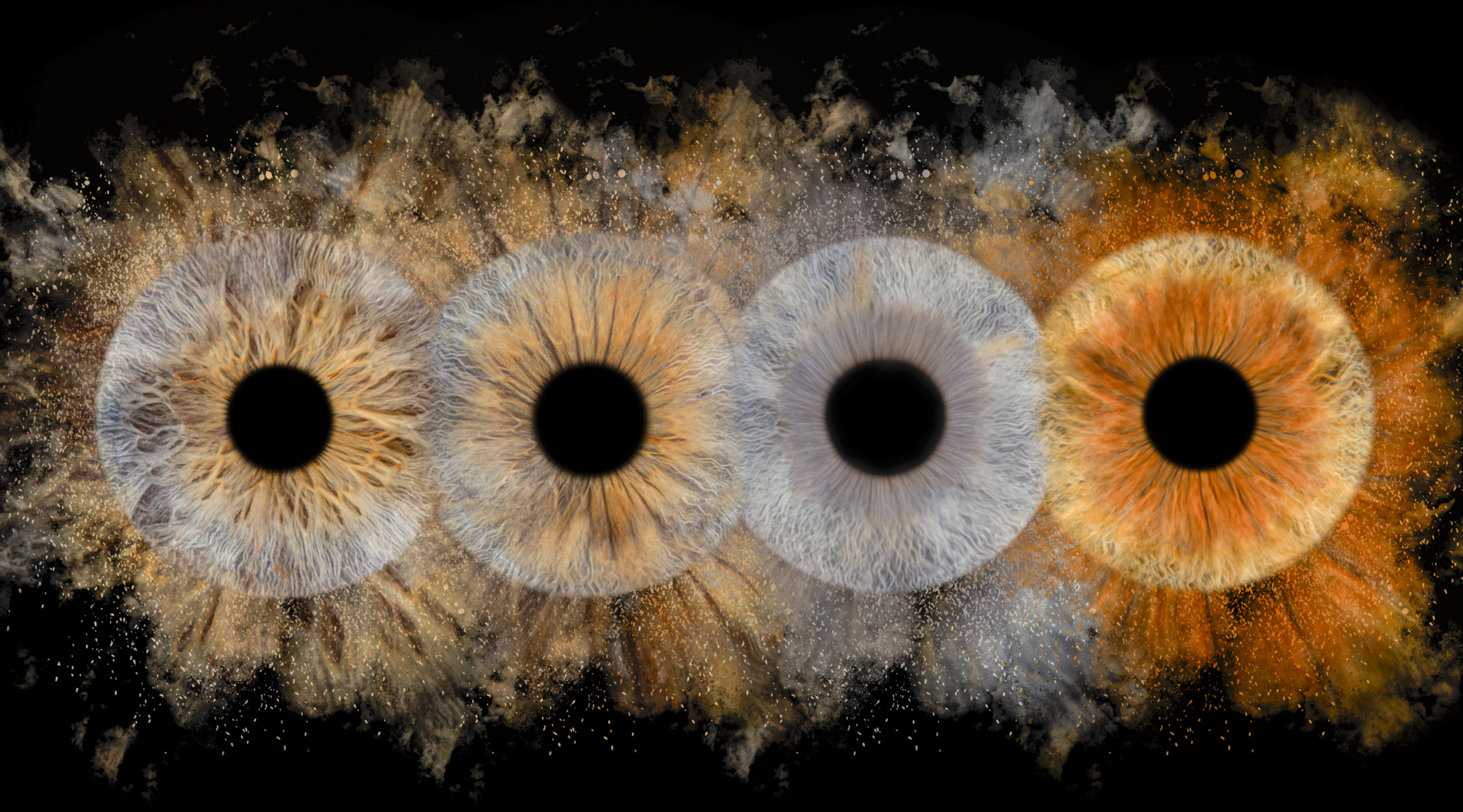 Idée de cadeau famille: shooting iris au Touquet Paris Plage dans le Pas-de-Calais