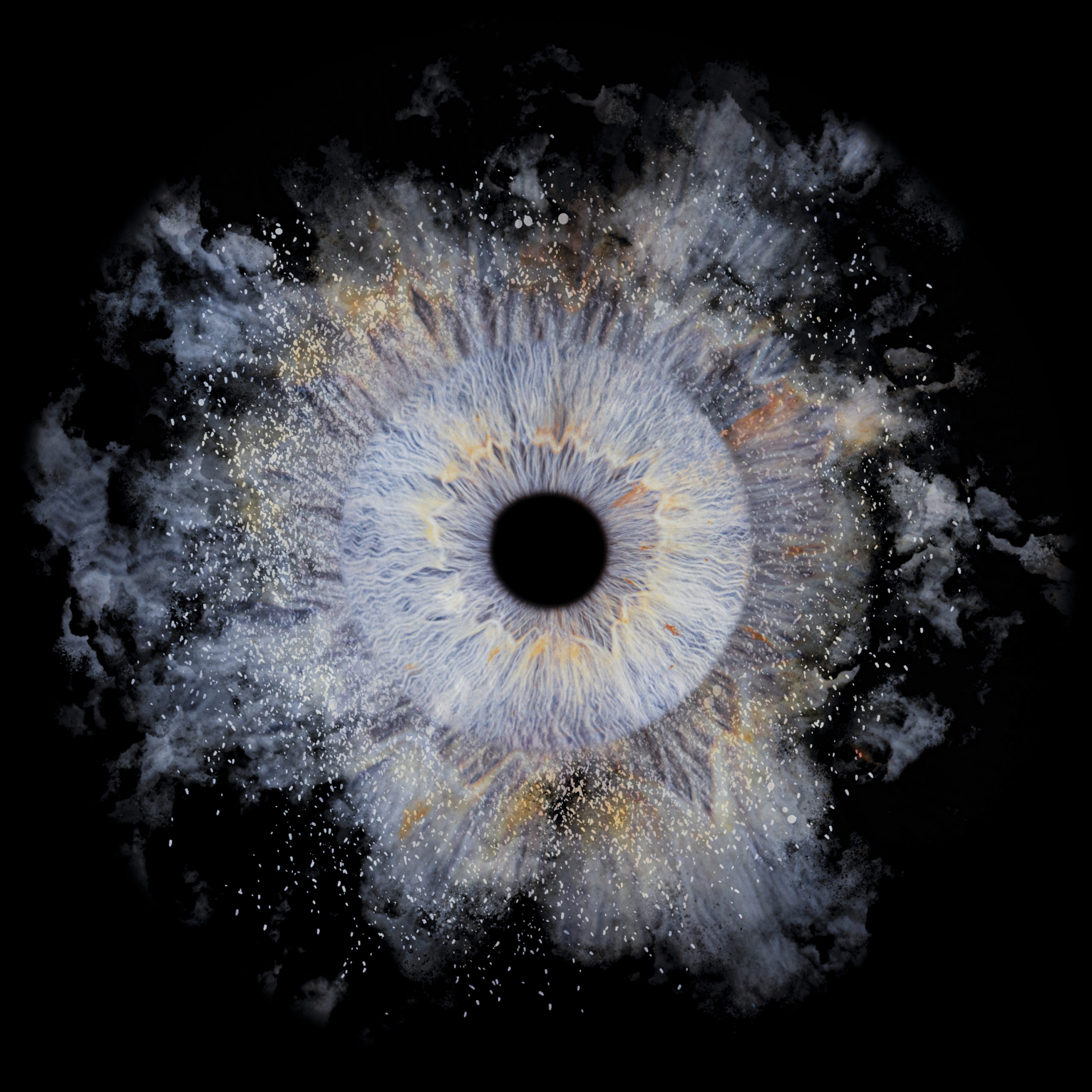 Bon cadeau iris au Touquet Paris Plage