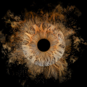 Séance photo iris au Touquet