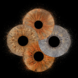 Cadeau de Noël: un shooting iris en famille