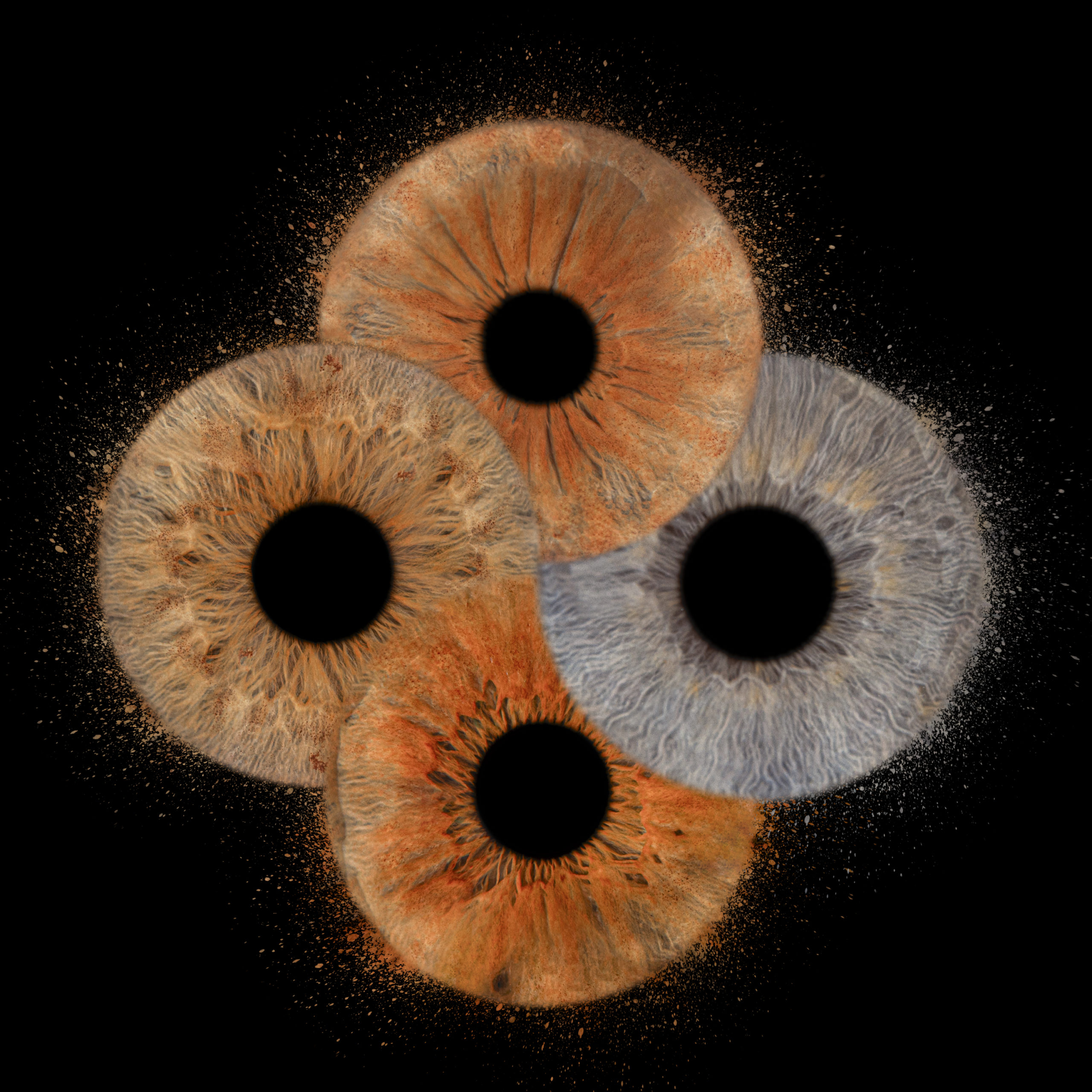 Cadeau de Noël: un shooting iris en famille au Touquet